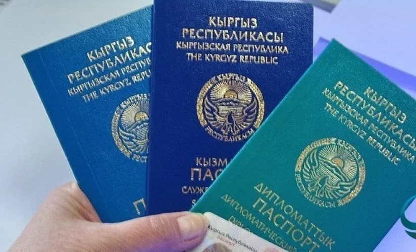 Дипломаттык паспорт ээлери үчүн бир катар өлкөлөр менен визасыз режим боюнча мыйзам долбоорлору кабыл алынды
