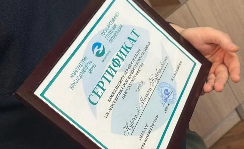 Случилось ДТП - не паникуйте! Что говорят водители об ОСАГО и КАСКО