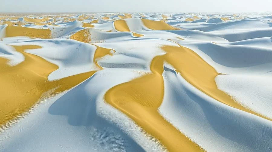 Snow Fell in the Sahara Desert