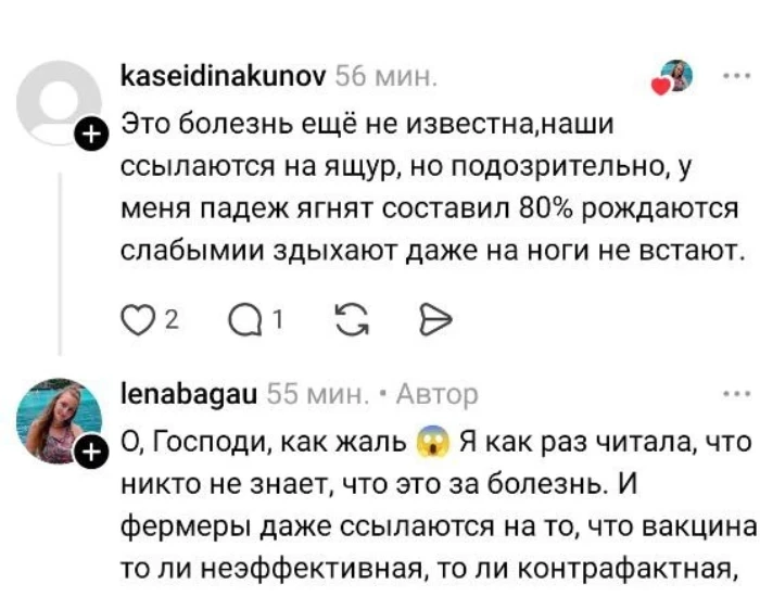 Опасения о ящуре. Что на данный момент известно?