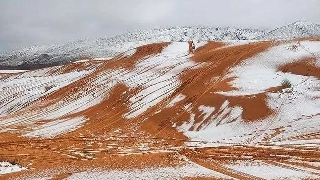 В Сахаре выпал снег — седьмой раз за 40 лет