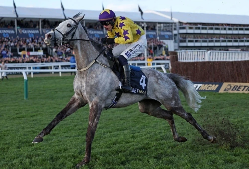 Horse Racing in the UK: Kitzbühel's Triumph and Mayjboro's Misfortune