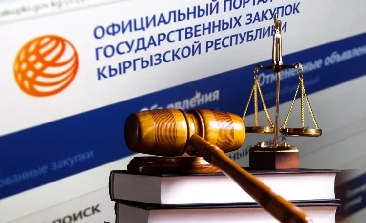 Комитет ЖК одобрил поправки в закон о госзакупках в пользу людей с инвалидностью