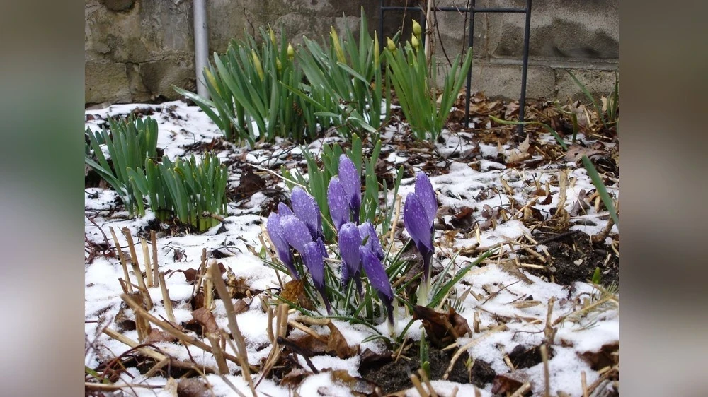В Монголии 18 марта потеплеет