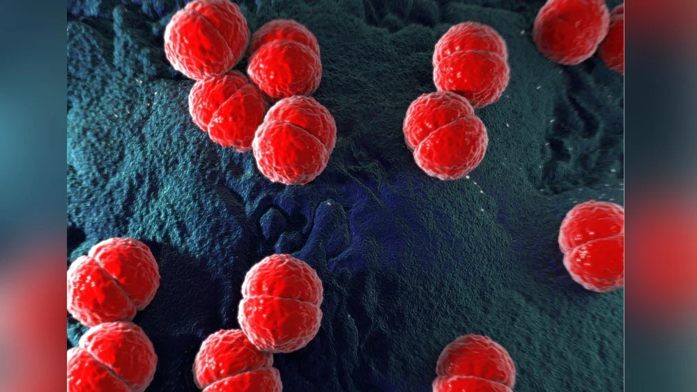 Ховд вводит ограничения в связи со вспышкой менингококковой инфекции