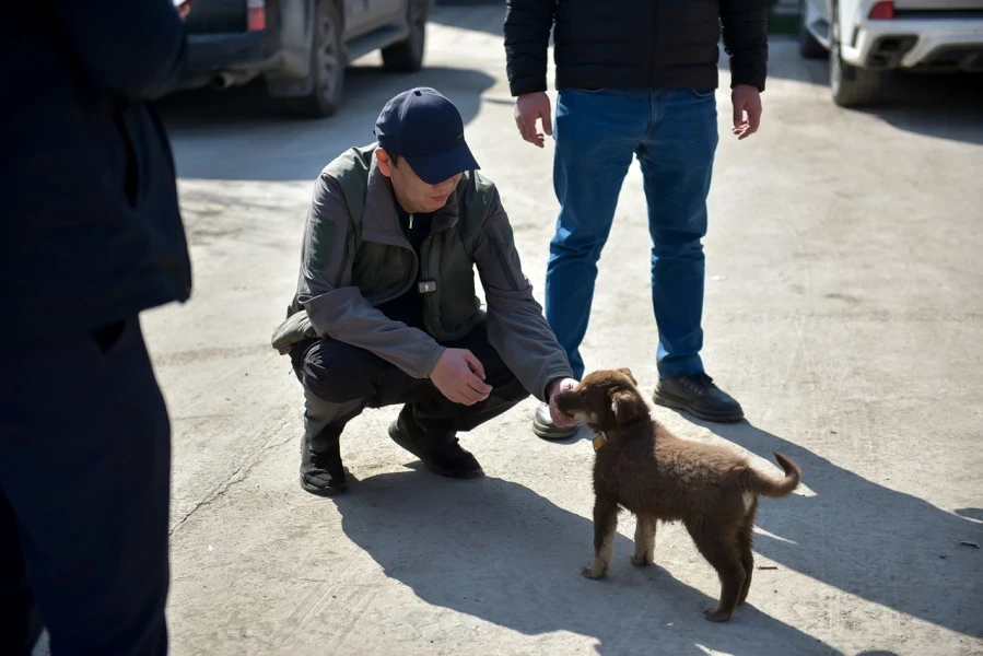 Мэр Бишкека проверил ход ремонта дорог и обустройства скверов
