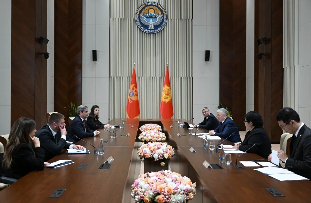 Montenegro has expressed its readiness to develop cooperation with Kyrgyzstan