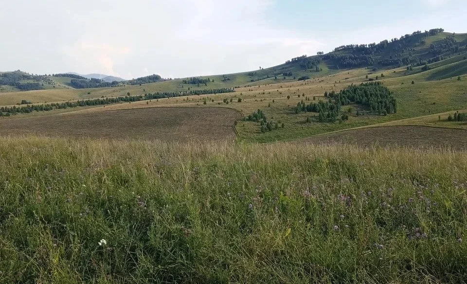 In Chuy Region, misuse of agricultural land has been identified