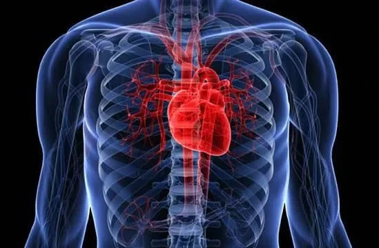 In Kyrgyzstan, heart and vascular diseases account for 52.3% of all mortality cases