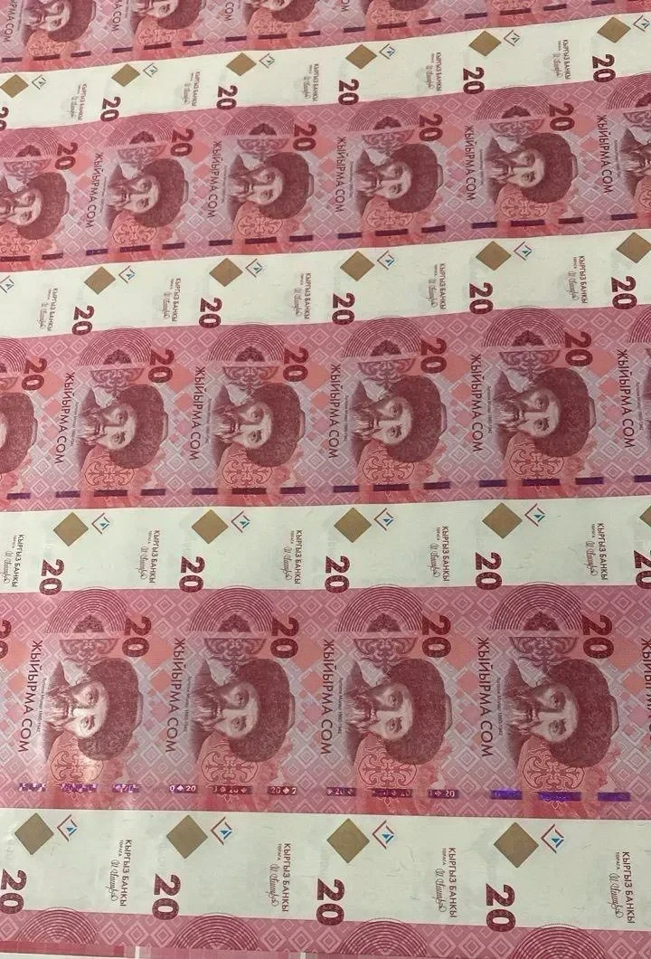 Кыргызстан выходит на рынок высокотехнологичного экспорта за счет выпуска собственной валюты — экономист