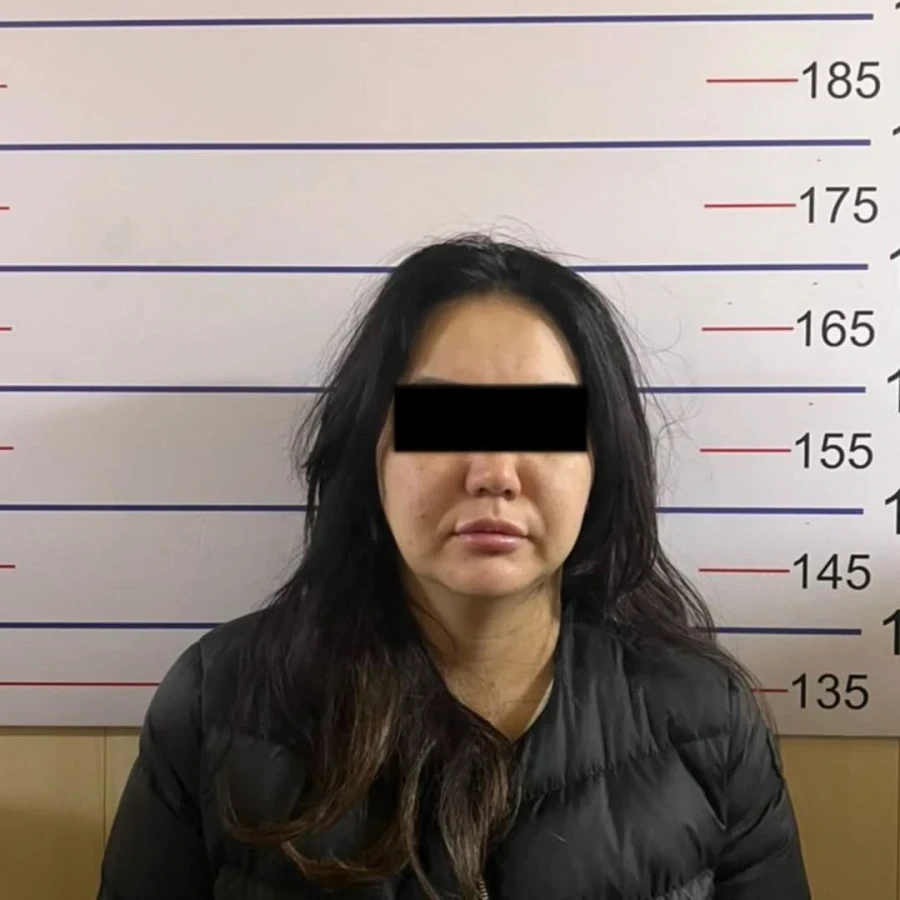 Обещала купить земельные участки. Женщина подозревается в мошенничестве на более 300 тыс. долларов