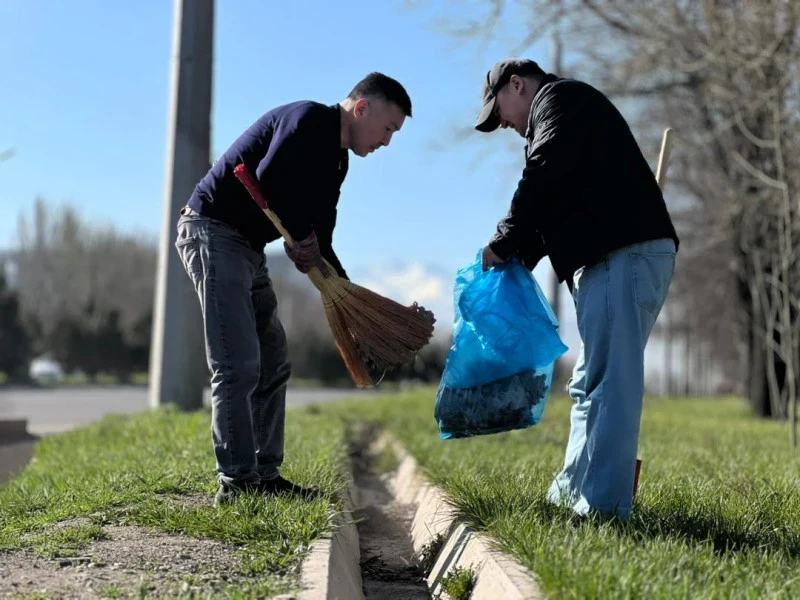 В Бишкеке появится более 93 тысяч деревьев