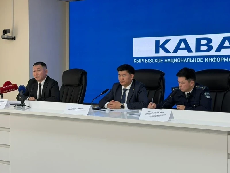 NPT will help citizens avoid double fines - GNS