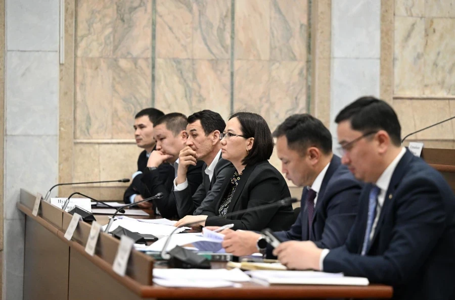 Комитет ЖК поддержал льготы на обучение для детей «Баатыр эне»