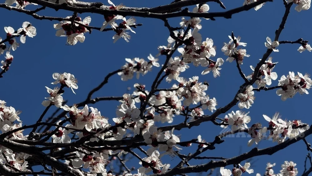 What will the weather be like in Uzbekistan in April