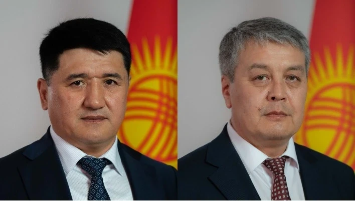 Салык кызматынын төрагасында эки жаңы орун басар бар