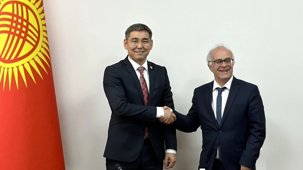 Кыргызстан жана Франция ден соолук сактоо тармагындагы жаңы долбоорлорду талкуулашты