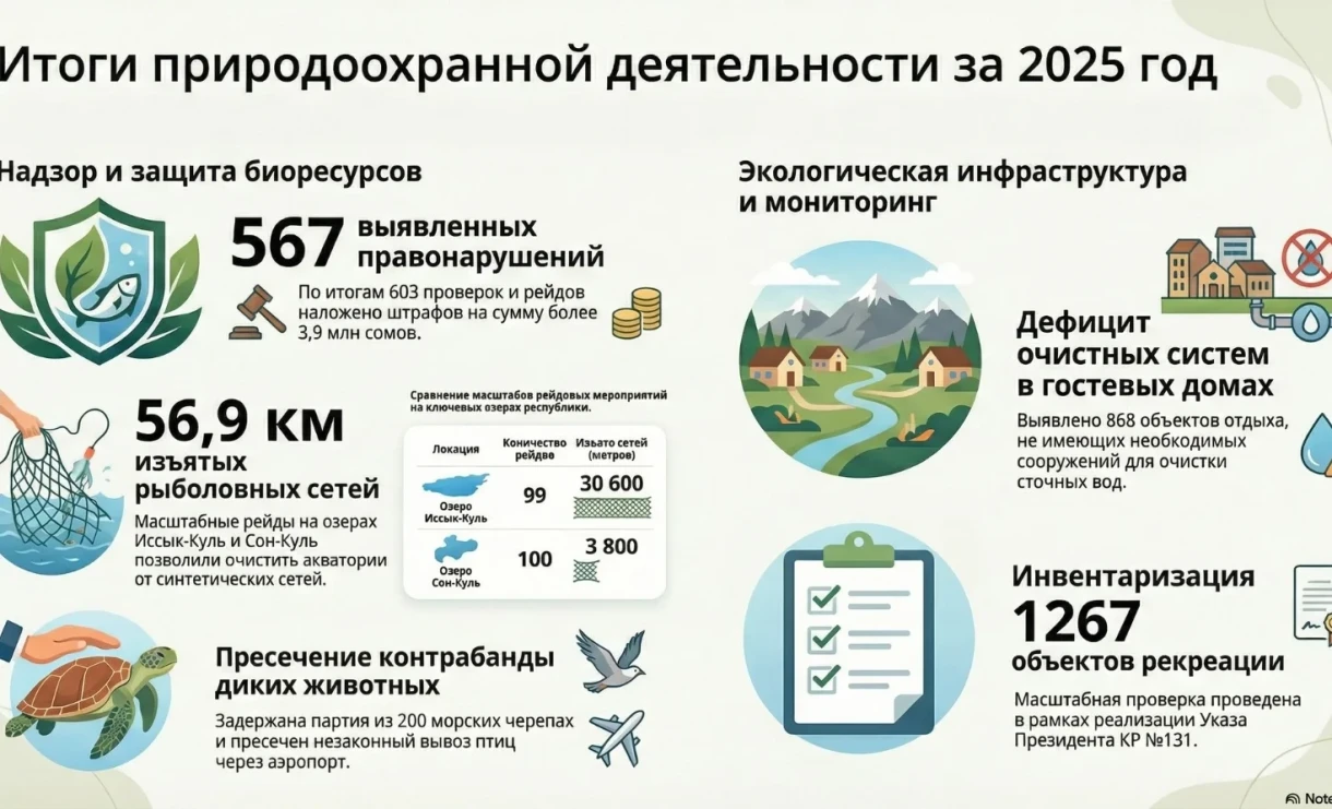 ТAlmost 4 million soms in fines: results of inspections in the field of wildlife and plant protection.