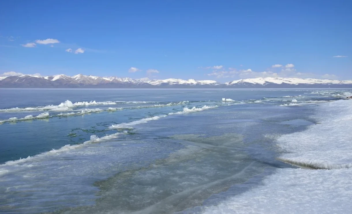 Сон-Көл көлүндө мыйзамсыз балык уулоого каршы рейддер өткөрүлдү