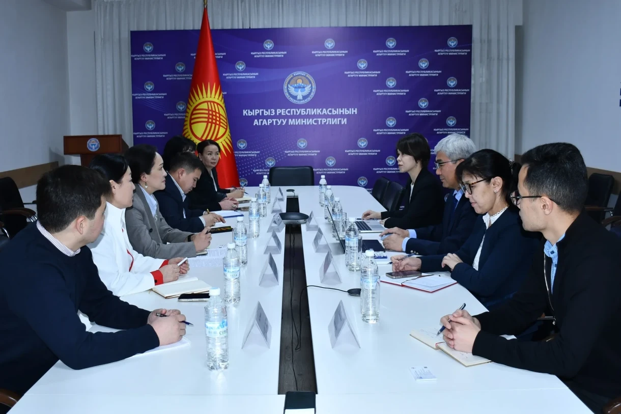 The Ministry of Education and JICA Discussed Strategic Partnership in the Field of Education