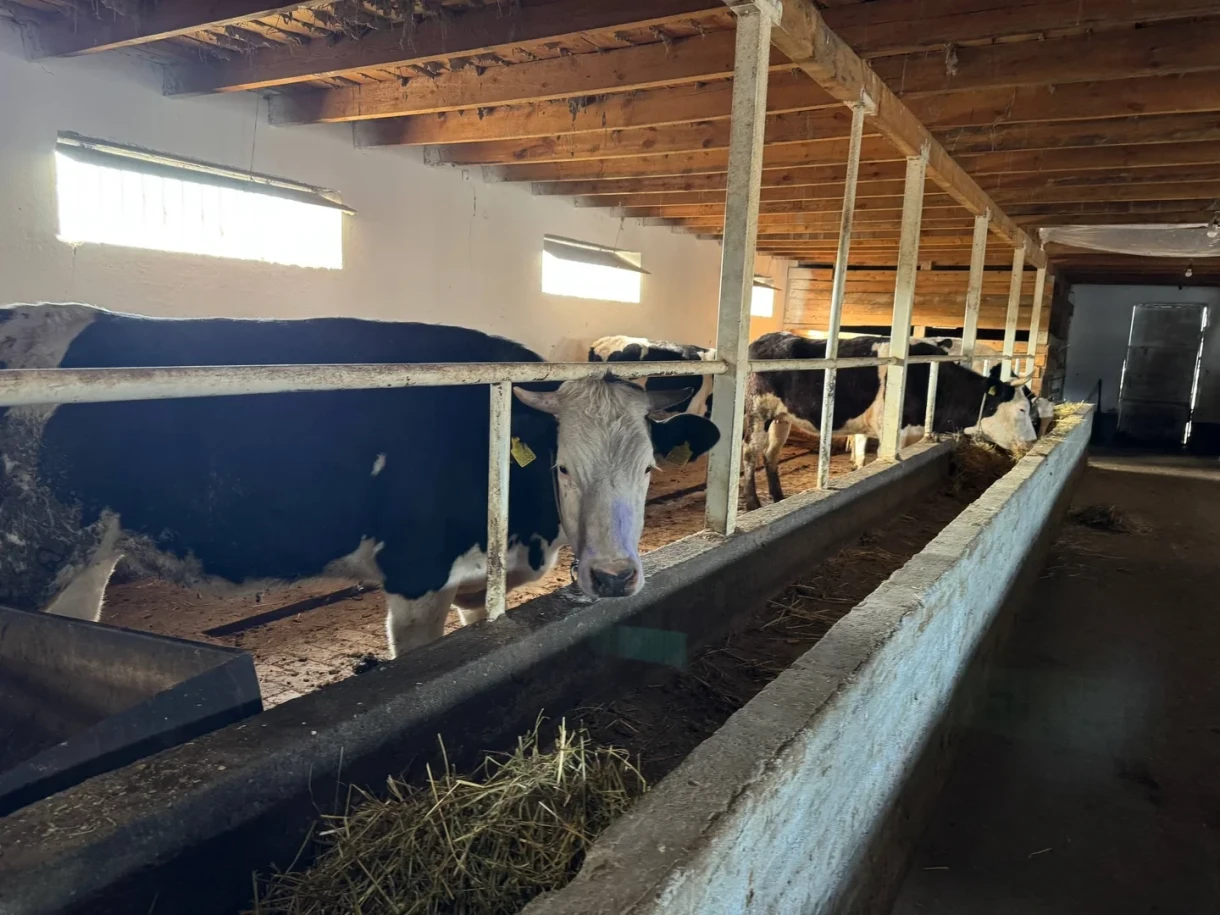 Акунбеков тукумдук чарбанын иши менен таанышып чыкты