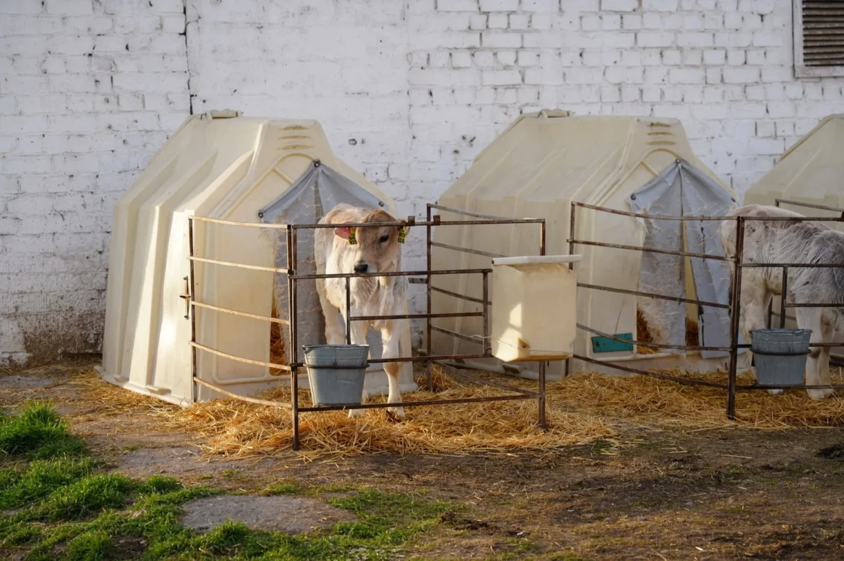 Эрлист Акунбеков «Чабрец» агрофирмасындын иши менен таанышып чыкты