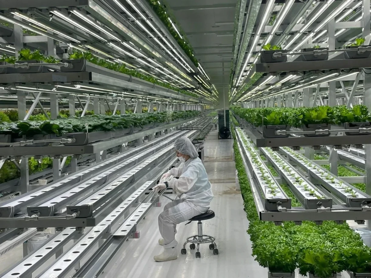 Кыргыз делегациясы Түштүк Кореядагы «акылдуу ферма» тажрыйбасын изилдеди