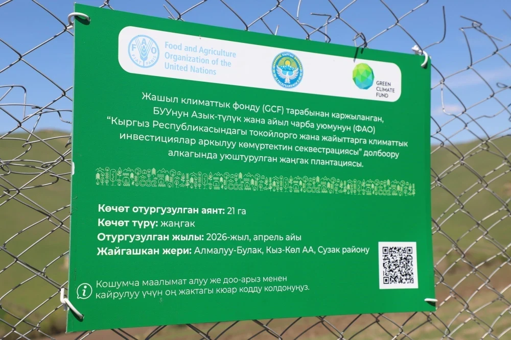 В Джалал-Абадской области высадят более 500 тысяч деревьев