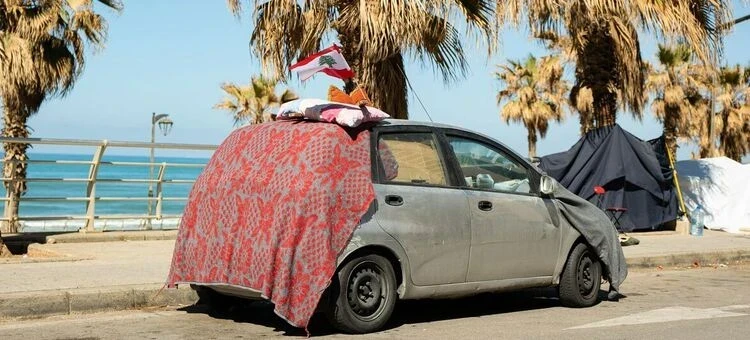 Урожаилар суроодо. Жакынкы Чыгыштагы согуштун кесепеттеринен БУУ эскертти