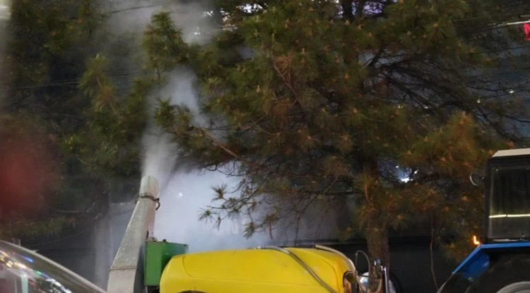 В Бишкеке стартует масштабная ночная обработка зеленых насаждений от вредителей