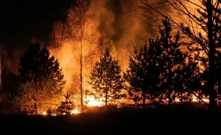 Лесные пожары в Джорджии разрушили более 120 домов